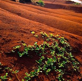 黑曜石《天外世界》《天外世界2》首席环境美工去世